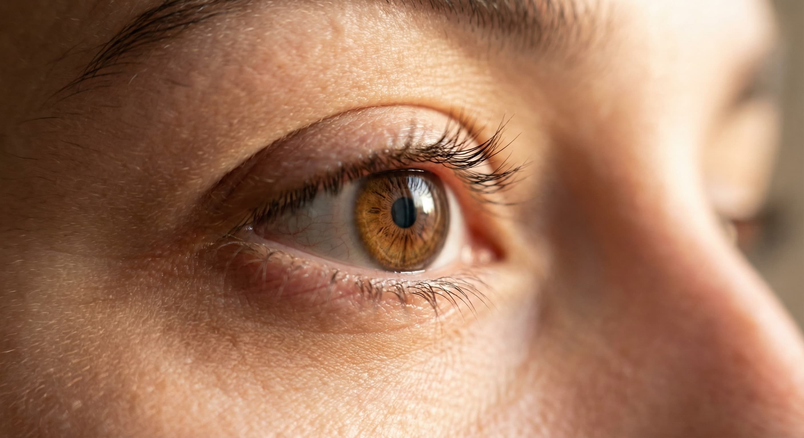 High-Res Face Swap Downloads