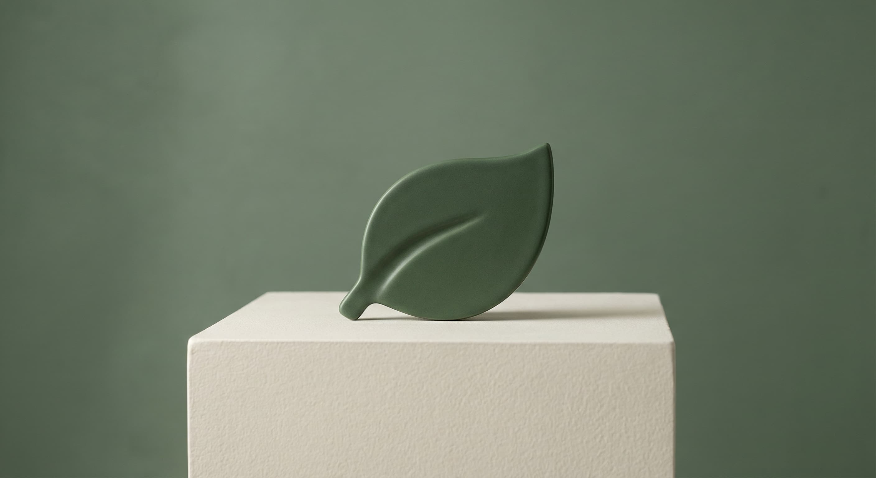 Why 170×100 Pixels?