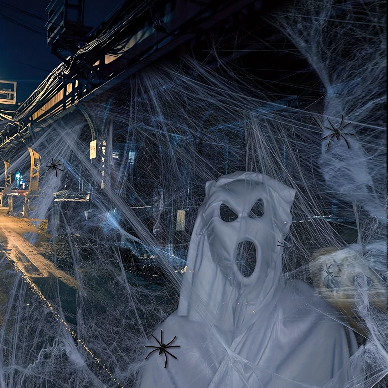 Halloween Spider Web Decoration Banner 3